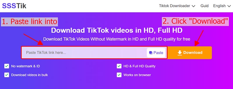 paste url into ssstiktok