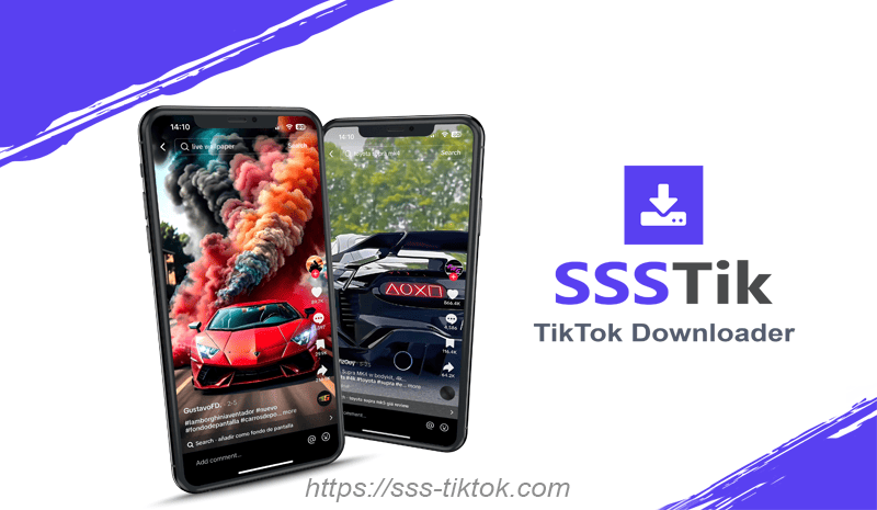 SSSTikTok Downloader